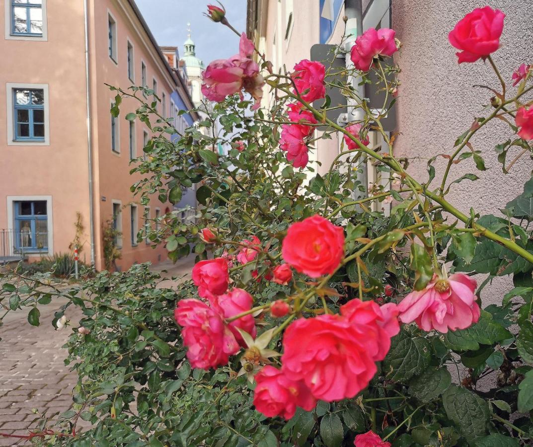 Fynbos Studio Dg In Der Altstadt, Frauenkirchenblick, Parkplatz Meißen Exterior foto